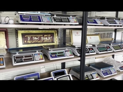 WALL-E escala de piso plataforma escala de piso de aço inoxidável Weighbridge Truck Scale